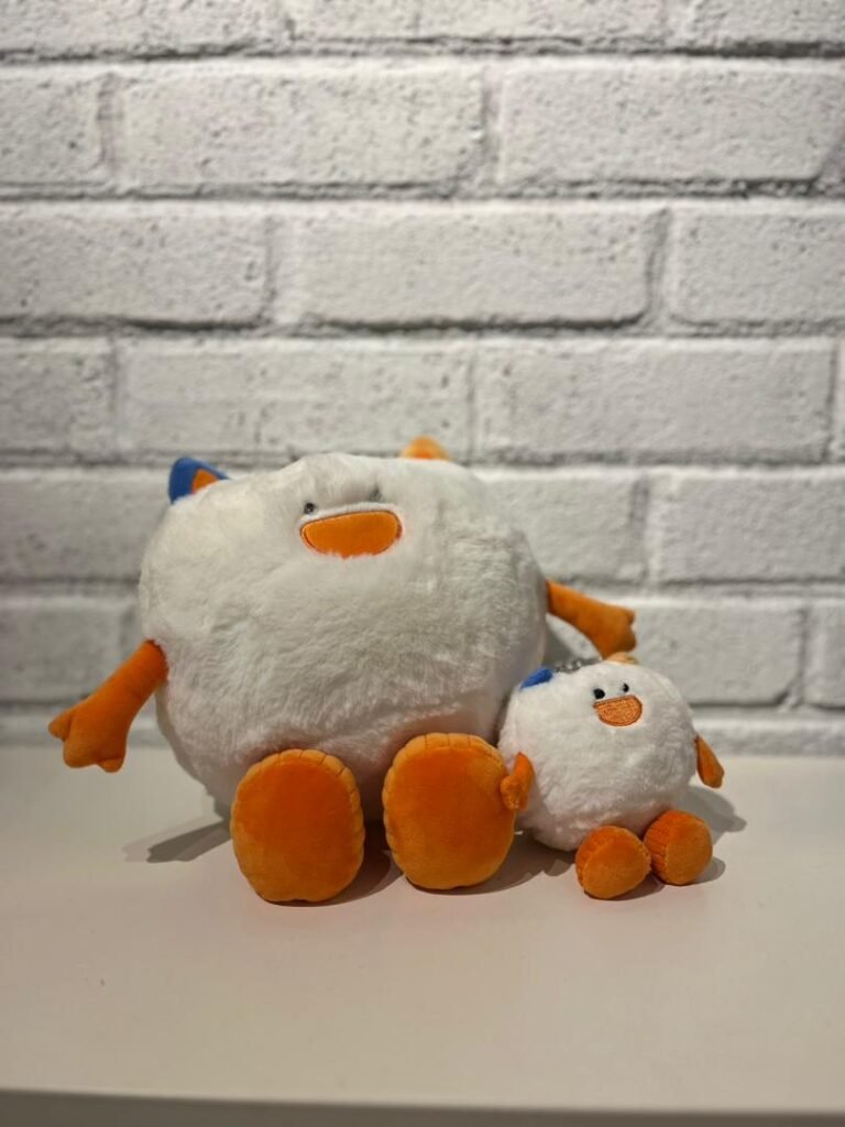 WhatsApp Image 2025-09-30 at 11.34.51 AM