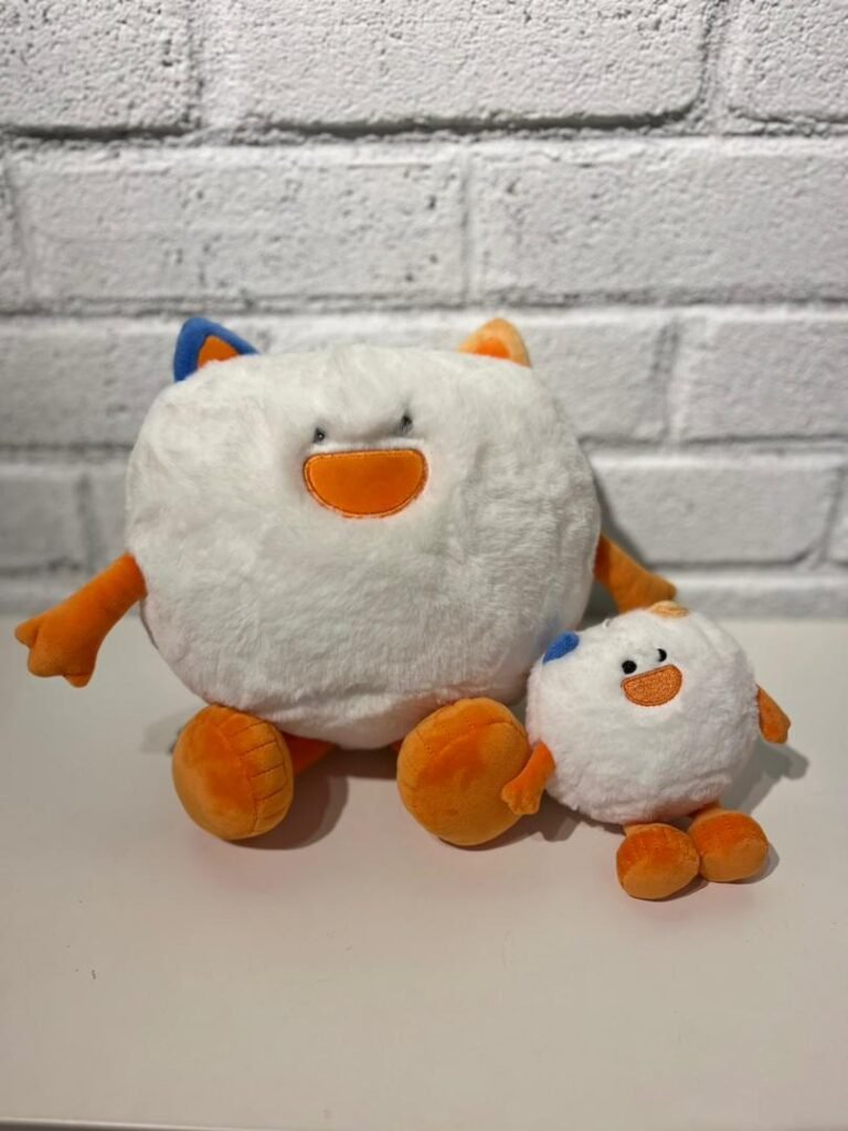 WhatsApp Image 2025-09-30 at 11.34.52 AM (1)