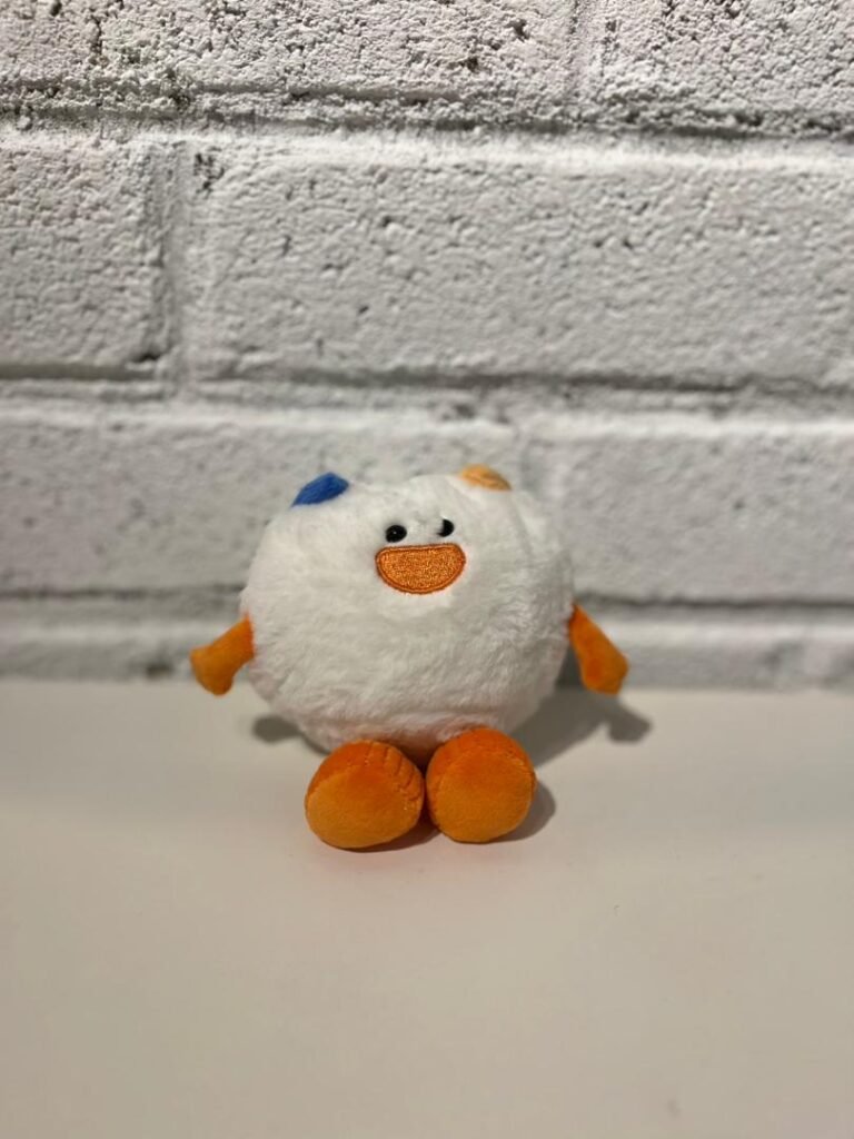 WhatsApp Image 2025-09-30 at 11.34.52 AM