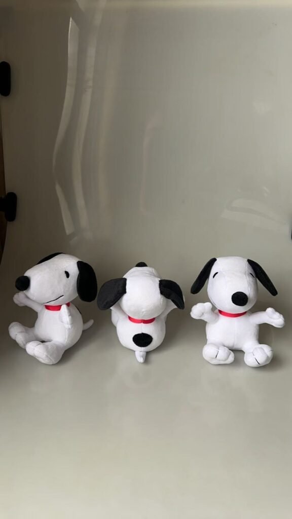 mmexport1756871280170