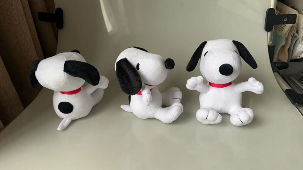 mmexport1756871283699